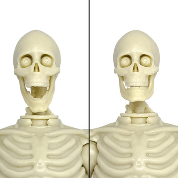 Figures Toy Company Super Articulated 8 Inch Skeleton Action Figure