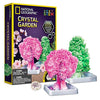 National Geographic Craft Kits for Kids - Crystal Growing Kit - Grow a Crystal Garden in Just 6 Hours, Educational Craft Art Project, STEM Crafts