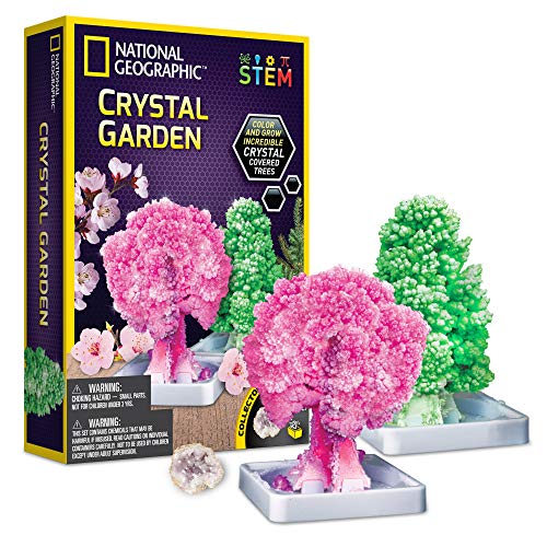 National Geographic Craft Kits for Kids - Crystal Growing Kit - Grow a Crystal Garden in Just 6 Hours, Educational Craft Art Project, STEM Crafts