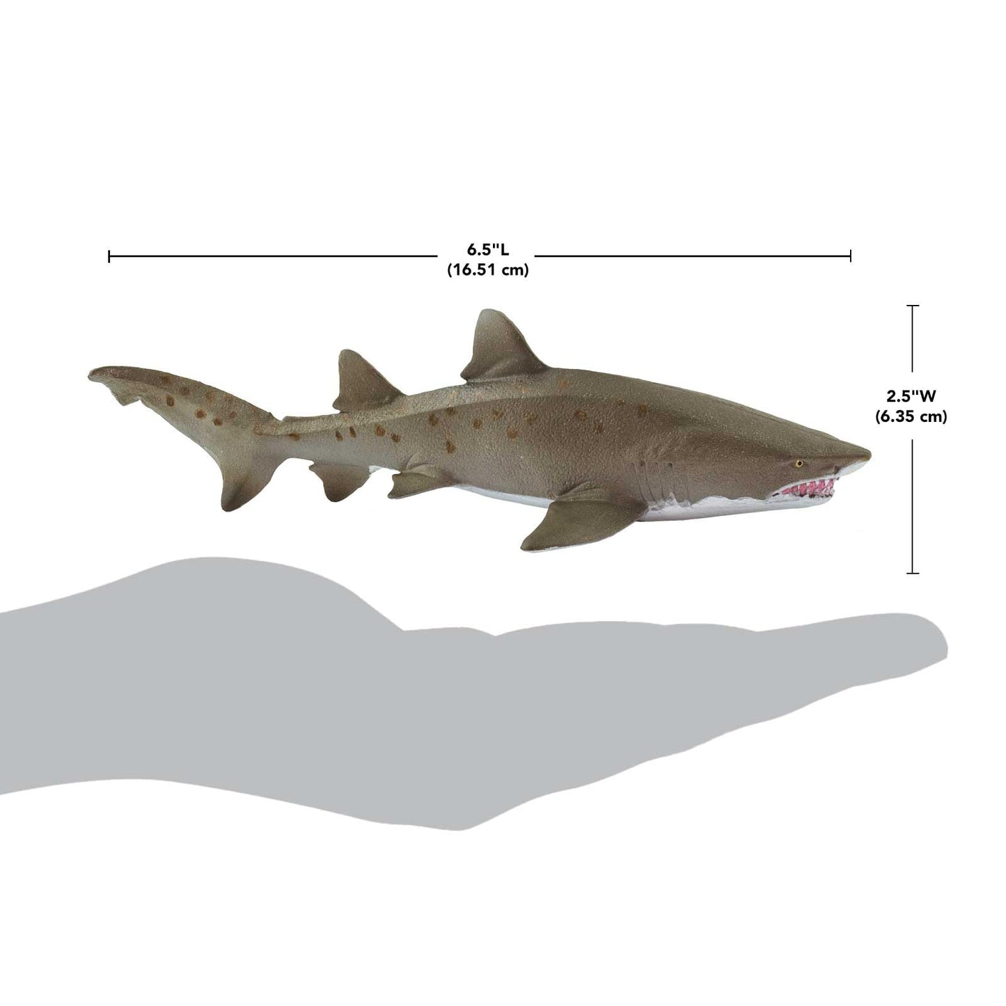 Safari Ltd. Sand Tiger Shark Figurine - Detailed 6.5" Plastic Model Figure - Fun Educational Ocean Play Toy for Boys, Girls & Kids Ages 3+