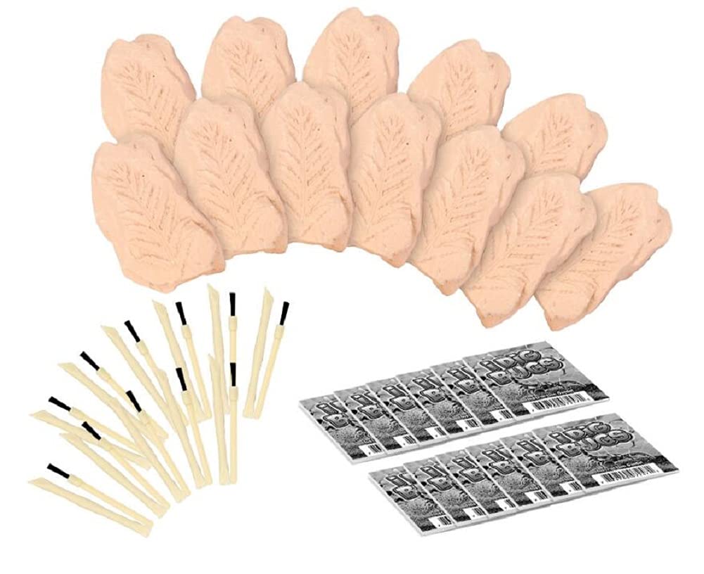 TRADE Big Bug Fossil Dig Kit - STEM Science & Educational Toys -Dig Up 12 Real Bugs Fly Ant Scorpion Lady Beetle Locust Cockroach Bumble Bee Cicada