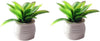 1:12 Scale Mini Potted Plants - Resin Botanical Decor for Dollhouse Kitchens and Living Rooms, Evergreen DIY Craft Accessories with Lifelike Foliage