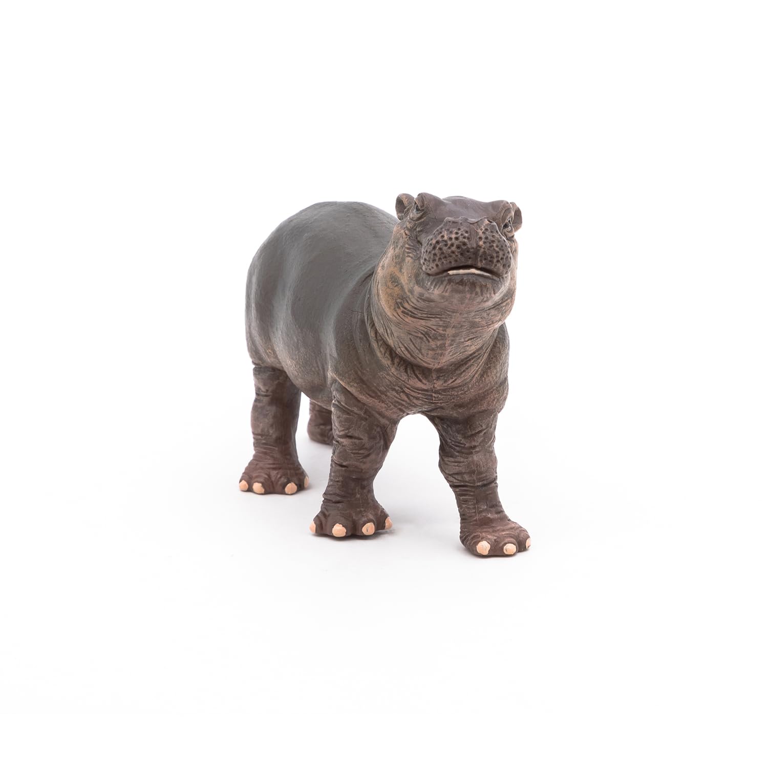 Papo - Realistic Baby Hippopotamus Figure - Ages 3+ - Wild Life Collection - Educational Play Young Animals - Gift Idea Toy for Girls and Boys