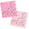 xo, Fetti 24 Cowgirl Paper Napkins | Western Party Rodeo Bandana Decor