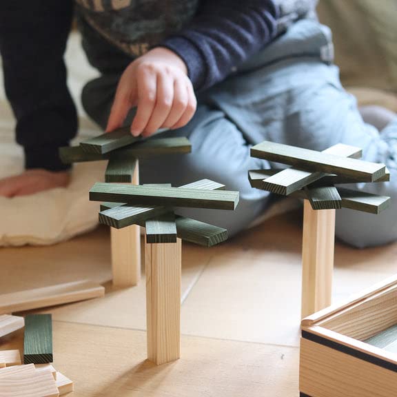 KAPLA 40 Squares Green - Wooden Construction Set - 40 Green Colored Building Planks - for Ages 3+