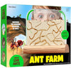 Dan&Darci Ant Farm Kit for Kids - Farms Colony - Includes Ants Voucher - Sand Habitat Kits - Bug Terrarium House - Educational Science Gifts for Kid