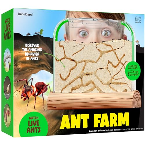 Dan&Darci Ant Farm Kit for Kids - Farms Colony - Includes Ants Voucher - Sand Habitat Kits - Bug Terrarium House - Educational Science Gifts for Kid