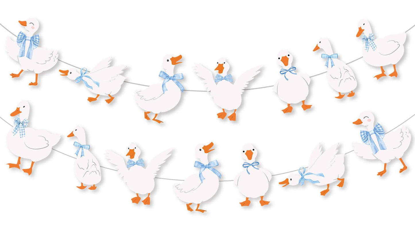 Goose Decor Garland One Silly Goose Birthday Decorations Boy Silly Goose Baby Shower Goose Party Decor One Silly Goose Banner