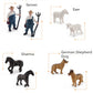 OUKEYI Animal Figurines, 10Pcs Farm Animals Figurines Toys,Big Animal Toys, Realistic Plastic Animals Playset, Educational Learning Toy Set for Kids