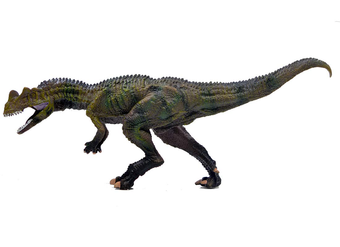 Ailejia Big Allosaurus Jurassic Dinosaurs Toys Solid Educational Dinosaurs Park Model for Children Gift Dinosaur (Allosaurus)