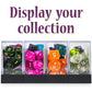 Wiz Dice - Dice Boxes - Clear Acrylic Display Box for Storage of Figurines, Collectibles, DnD Dice Set, Other Valuables - 1.43" x 1.43" x 1.75" - 10