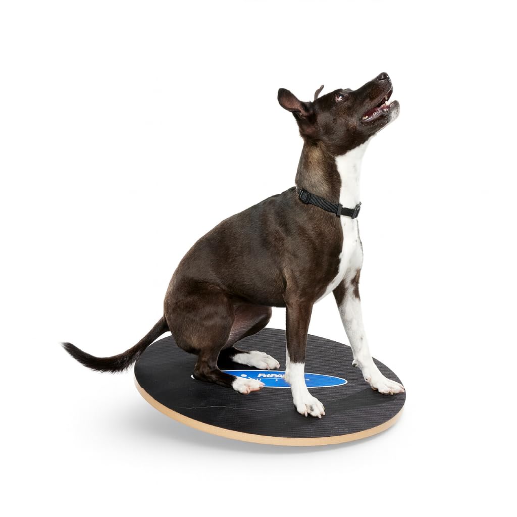 FitPaws® 20" Wobble Board, Dog Balance Training, Rehab + Exercise Equipment