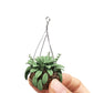 Dollhouse Decoration Plant Pots Miniature Green Potted Bonsai Models Decor,1?12 Miniature Plant