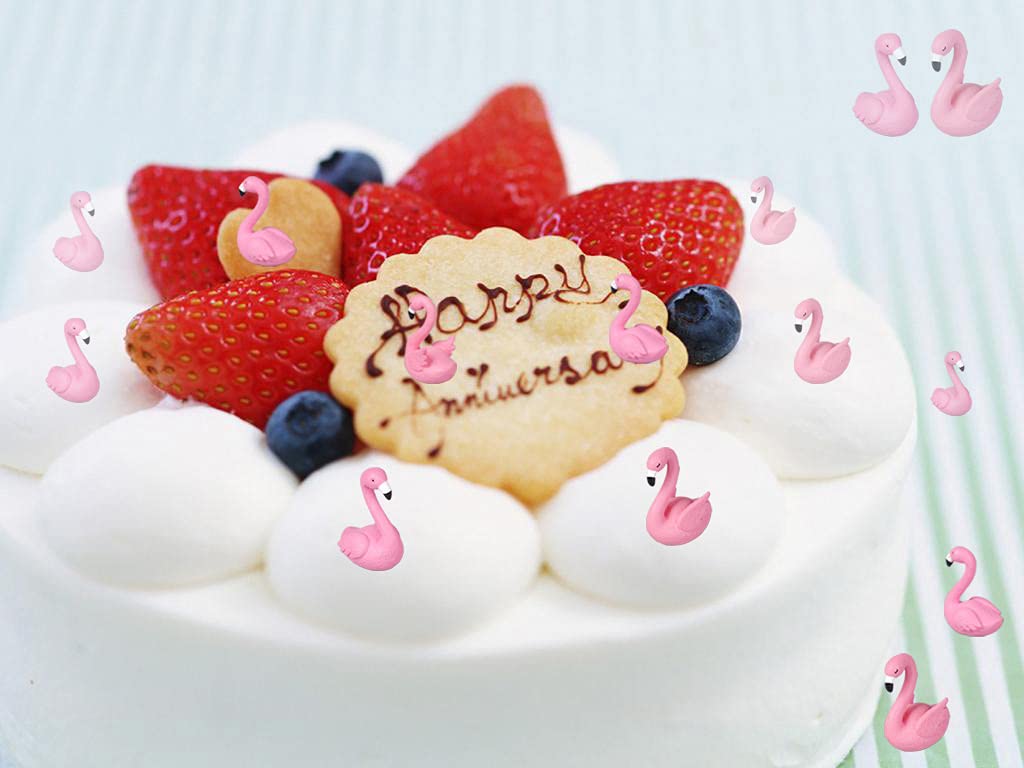 Dong Huang 10Pcs Mini Flamingo Miniature Figurines, Cute Flamingo Cake Decorations Easter Cupcake Toppers, Fairy Garden Miniature Moss Landscape DIY