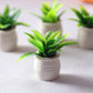 1:12 Scale Mini Potted Plants - Resin Botanical Decor for Dollhouse Kitchens and Living Rooms, Evergreen DIY Craft Accessories with Lifelike Foliage