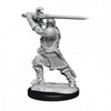 D&D Nolzur's Marvelous Miniatures: Human Paladin Male