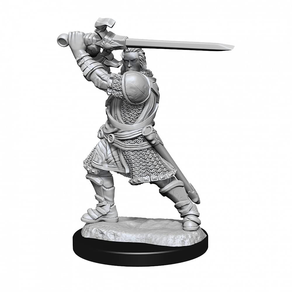D&D Nolzur's Marvelous Miniatures: Human Paladin Male