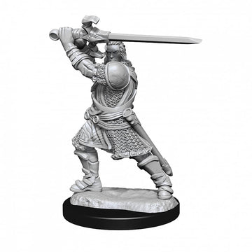 D&D Nolzur's Marvelous Miniatures: Human Paladin Male