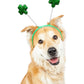 GiftExpress 12-Pack St Patrick's Day Shamrock Headband, Shamrock Head Boppers, St Patrick's Hair Accessories Party Supplies