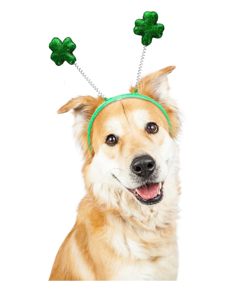 GiftExpress 12-Pack St Patrick's Day Shamrock Headband, Shamrock Head Boppers, St Patrick's Hair Accessories Party Supplies