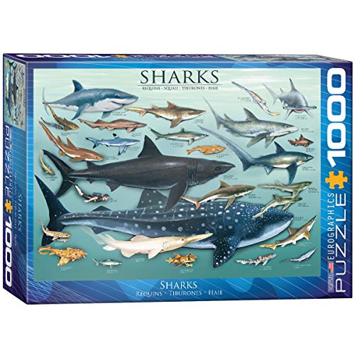 EuroGraphics Sharks 1000 Piece Puzzle , Blue