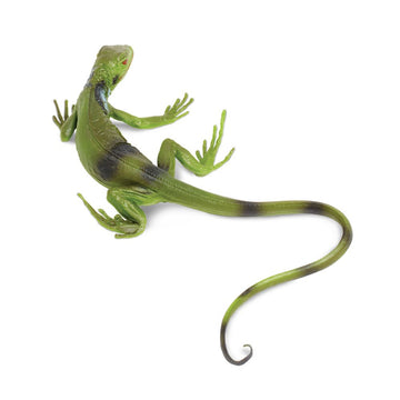 Safari Ltd. Iguana Baby Figurine - Detailed 9.4" Plastic Model Figure - Educational Toy for Boys, Girls and Kids Ages 3+