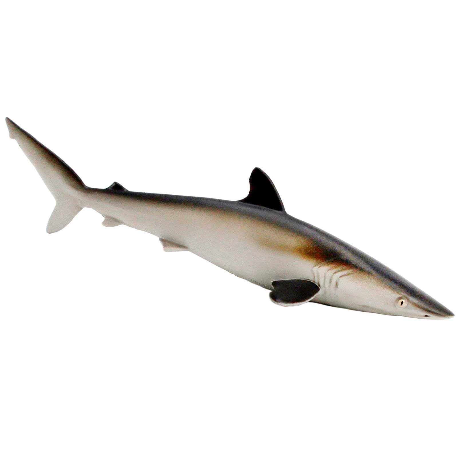 Safari Ltd. Silky Shark - Realistic 5.5" Sea Life Figure - Educational Toy for Boys, Girls, and Kids Ages 3+