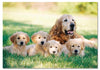 0100 pc Golden Retriever w/Puppies Cardboard Jigsa Case Pack 2 0100 pc Golden Retriever w/Puppies C