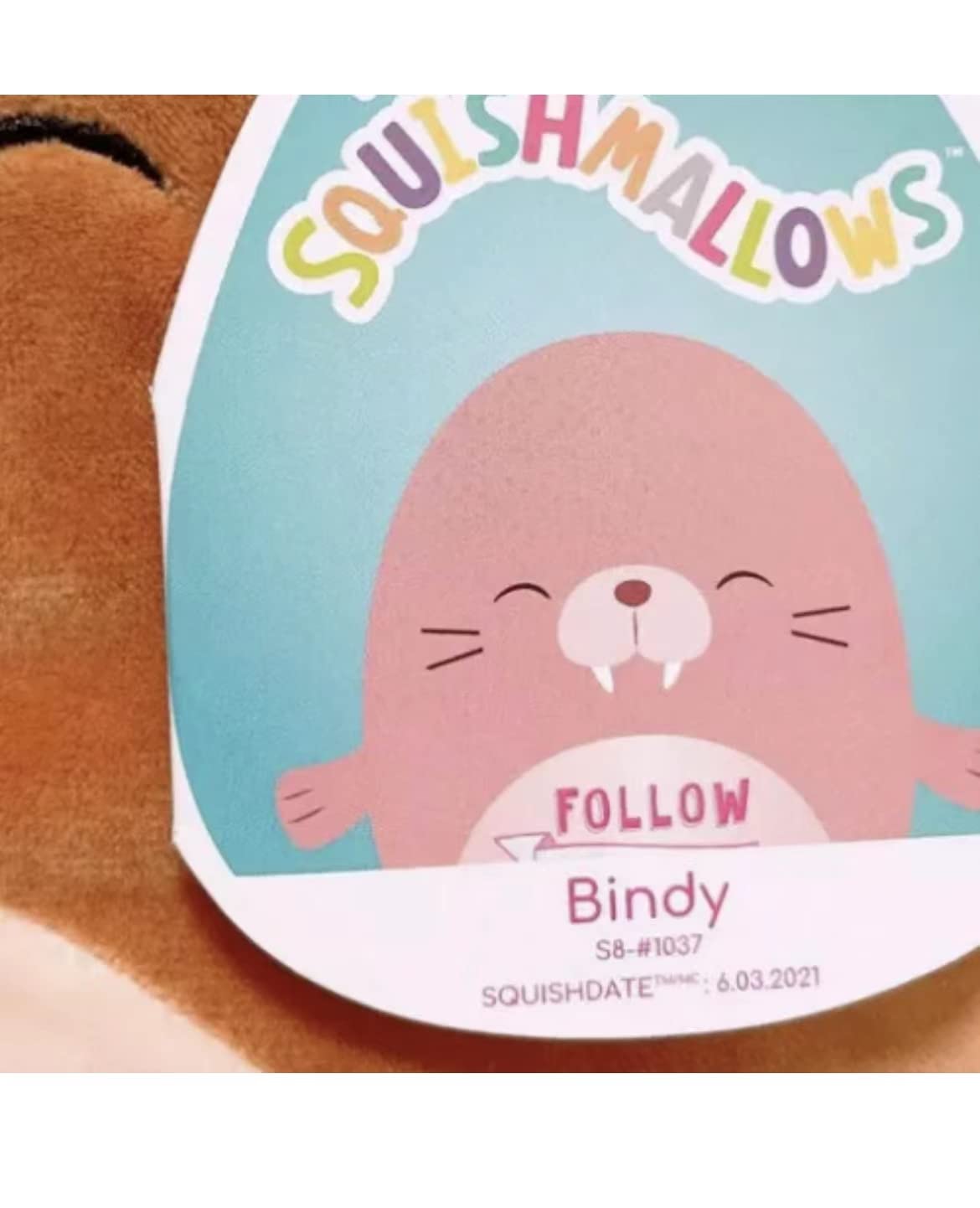 Squishmallows Inspiration Messages 8" Plush Doll (Bindy Walrus 8”)