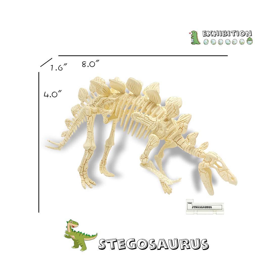 YODAR 3 Pcs Dinosaur Fossil Skeleton DIY Toys 8.7 Inch Educational Puzzles Model Set for Kids Over 8 Years Old