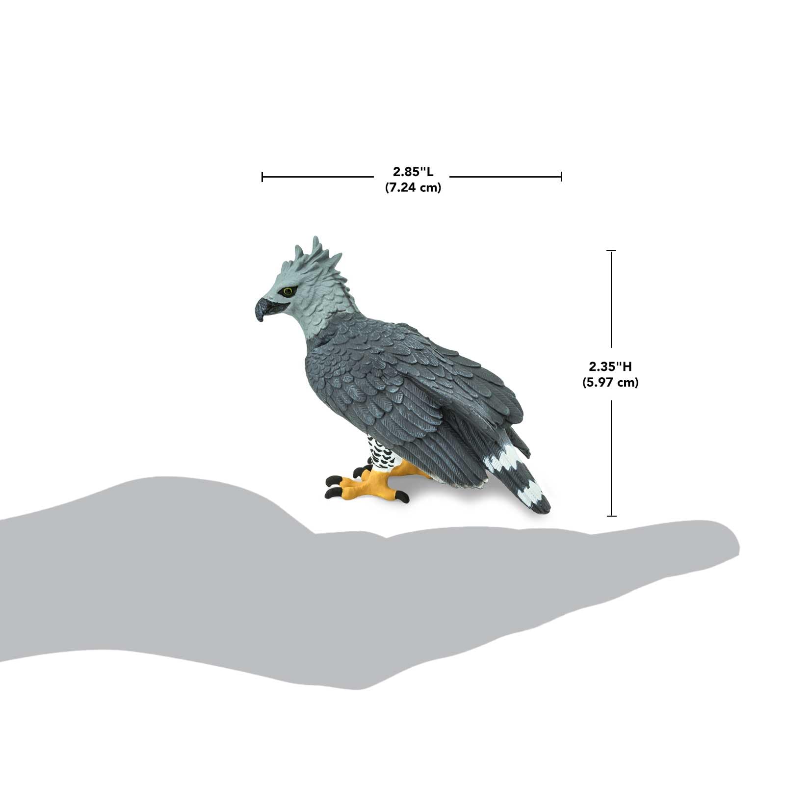 Safari Ltd. Harpy Eagle Figurine - Detailed 3" Plastic Model Figure - Fun Educational Play Toy for Boys, Girls & Kids Ages 3+