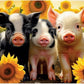 Bits and Pieces 300 Piece Puzzles for Adults - Hello Sunshine - 300 Large Pieces 18" x 24" Jigsaw Puzzles, Pigs Piglets Sunflowers, No 2 Pieces Alike
