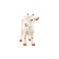 Papo - Realistic White Goat Figure - Ages 3+ - Farm Life Collection - Educational Play Farm Animals - Gift Idea Toy for Girls and Boys