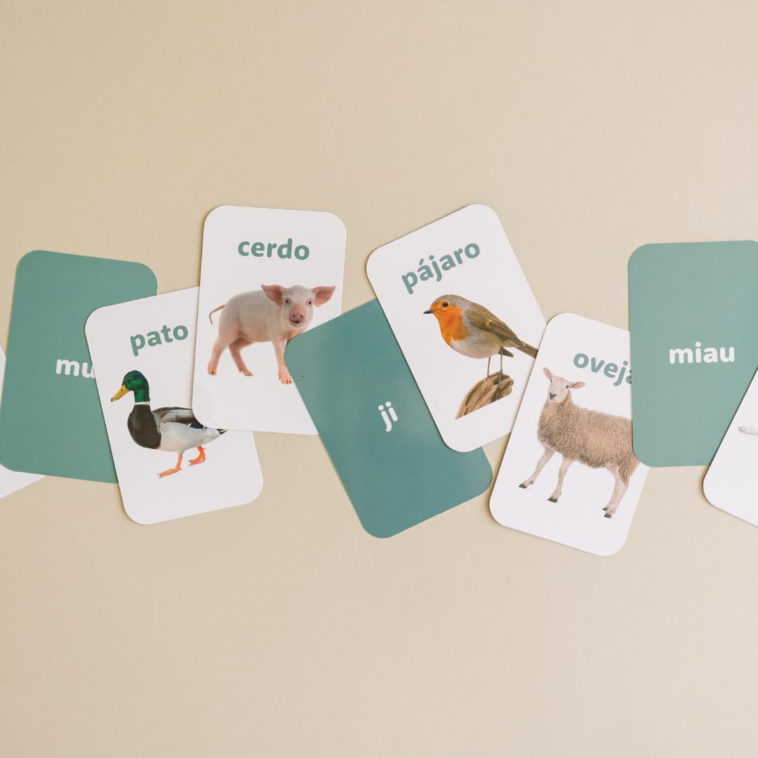 Learn & Drop Spanish Flashcards | Spanish Flash Cards for Kids and Toddlers | Learn Colors, Shapes, Numbers, Fruits and Veggies, and Animals