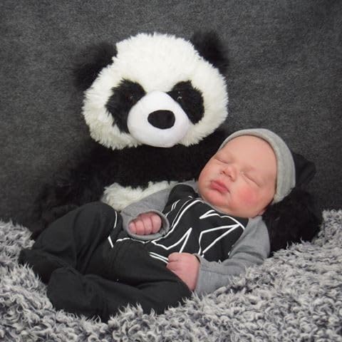 Vermont Teddy Bear 18" Panda Stuffed Animal | USA Bear Hospital Care