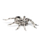Papo - Realistic Tarantula Figure Toy for Kids - Ages 3+ - Wild Life Collection - Educational Play Insects and Spiders - Gift Idea Toy for Girls