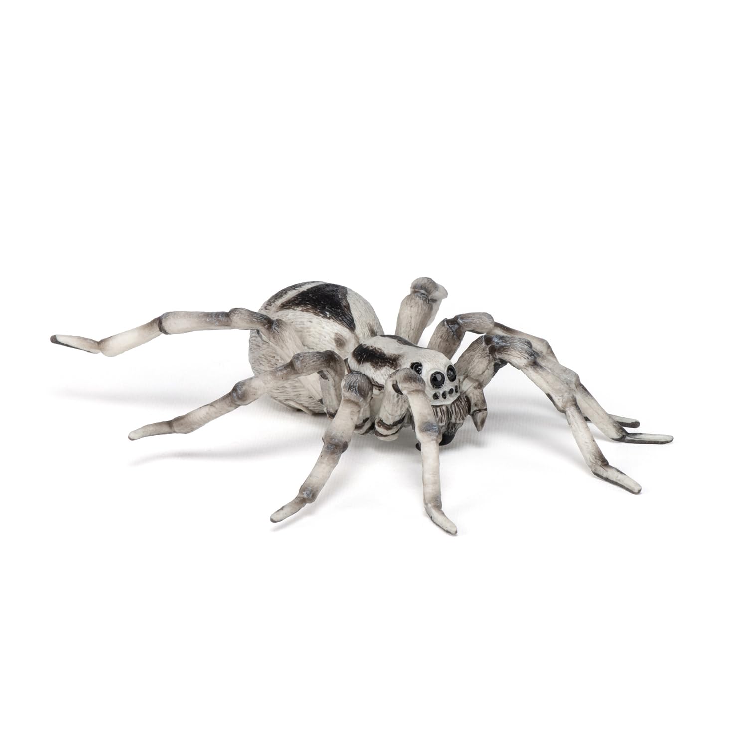 Papo - Realistic Tarantula Figure Toy for Kids - Ages 3+ - Wild Life Collection - Educational Play Insects and Spiders - Gift Idea Toy for Girls