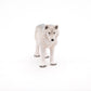Papo - Realistic Polar Wolf Figure - Ages 3+ - Wild Life Collection - Educational Play Polar Animals - Gift Idea Toy for Girls and Boys
