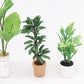 SXFSE Dollhouse Decoration Accessories, 1:12 Toy House Miniature Scene Model Potted Green Plant Posing Fortune Tree Pretend Toys