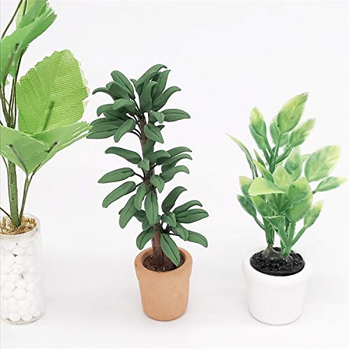 SXFSE Dollhouse Decoration Accessories, 1:12 Toy House Miniature Scene Model Potted Green Plant Posing Fortune Tree Pretend Toys