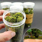 Warmtree 40 Pcs Bush Trees Miniature Vegetation Groups Shrubs Railway Artificial Grass for Model Train Railroad Scenery Sand Table Military Model War