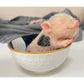 Lonian 5 Inch Silicone Pig Dolls Mini Silicone Pig Realistic Toy Full Silicone Pig (Black Spot)