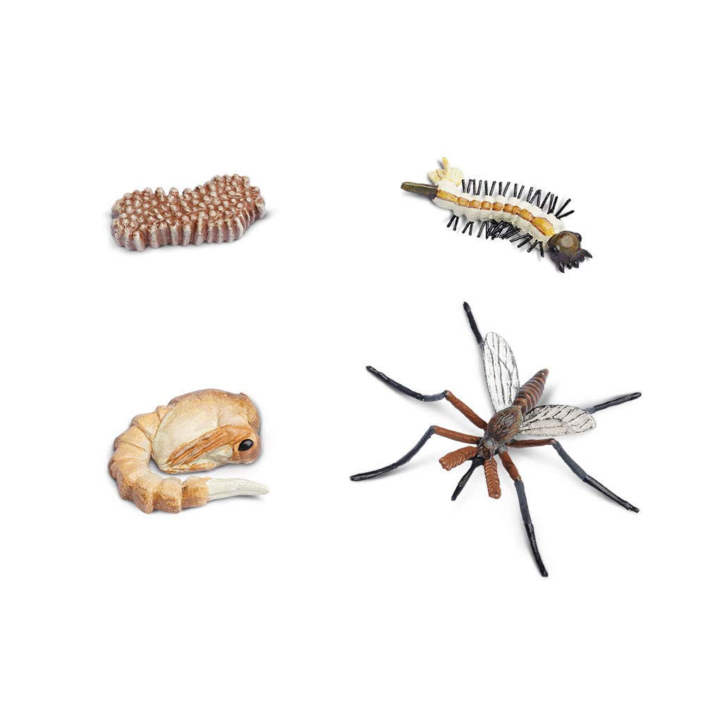 Safari Ltd. Life Cycle of a Mosquito - Educational Toy Figurines - Miniature Insect Lifecycle Collection for Boys, Girls & Kids Age 4+