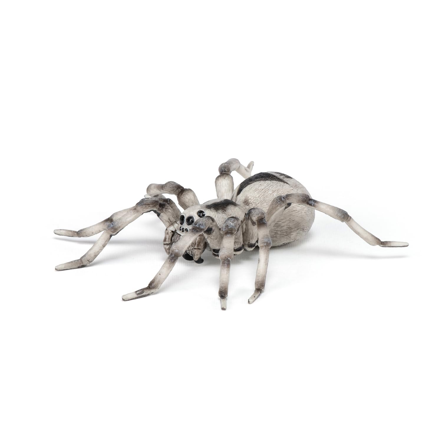 Papo - Realistic Tarantula Figure Toy for Kids - Ages 3+ - Wild Life Collection - Educational Play Insects and Spiders - Gift Idea Toy for Girls