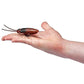 ZURU 36679 ROBO Alive Cockroach, Brown
