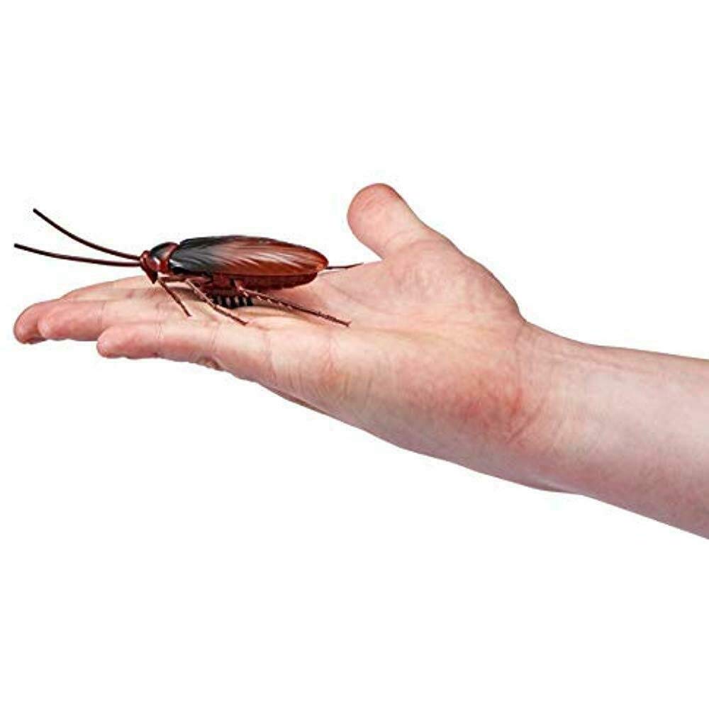 ZURU 36679 ROBO Alive Cockroach, Brown