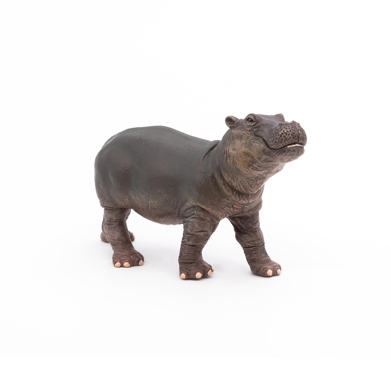 Papo - Realistic Baby Hippopotamus Figure - Ages 3+ - Wild Life Collection - Educational Play Young Animals - Gift Idea Toy for Girls and Boys