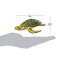 Safari Ltd. Green Sea Turtle Figurine - Detailed 3.58" Plastic Model Figure - Fun Educational Play Toy for Boys, Girls & Kids Ages 3+