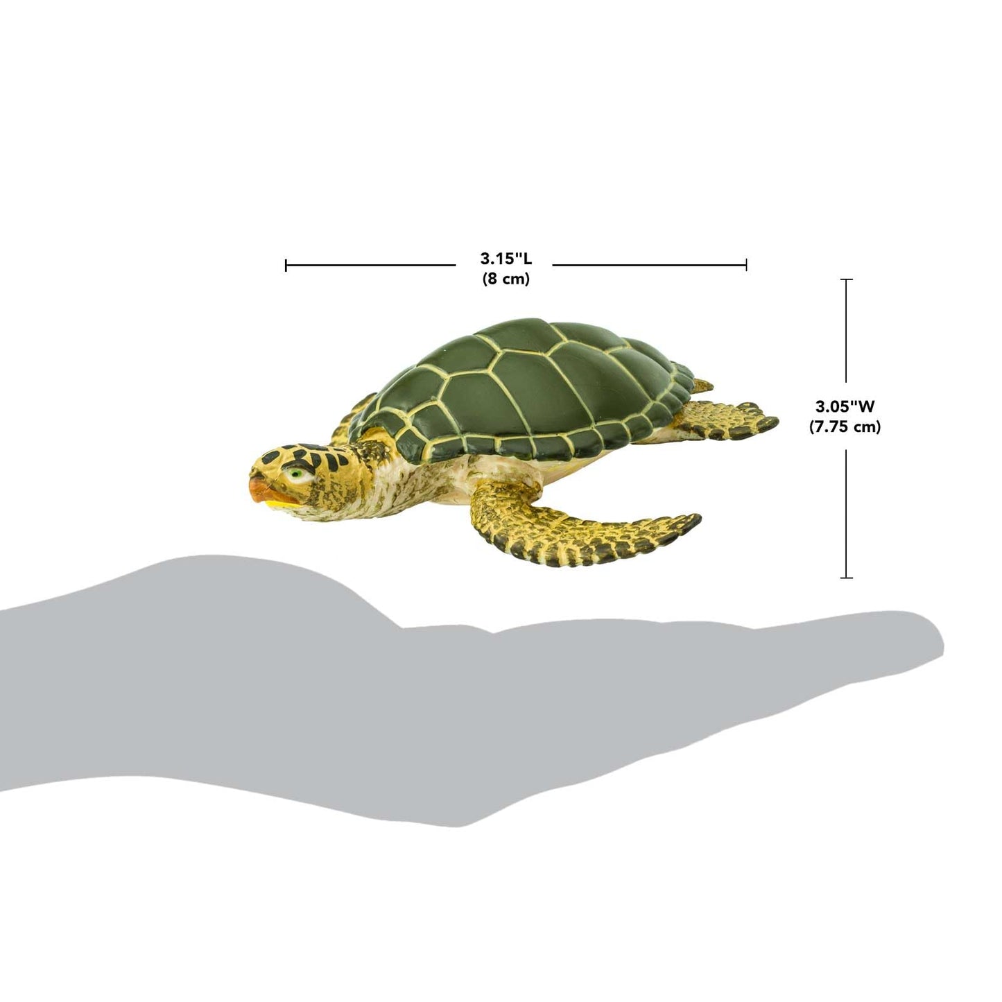 Safari Ltd. Green Sea Turtle Figurine - Detailed 3.58" Plastic Model Figure - Fun Educational Play Toy for Boys, Girls & Kids Ages 3+