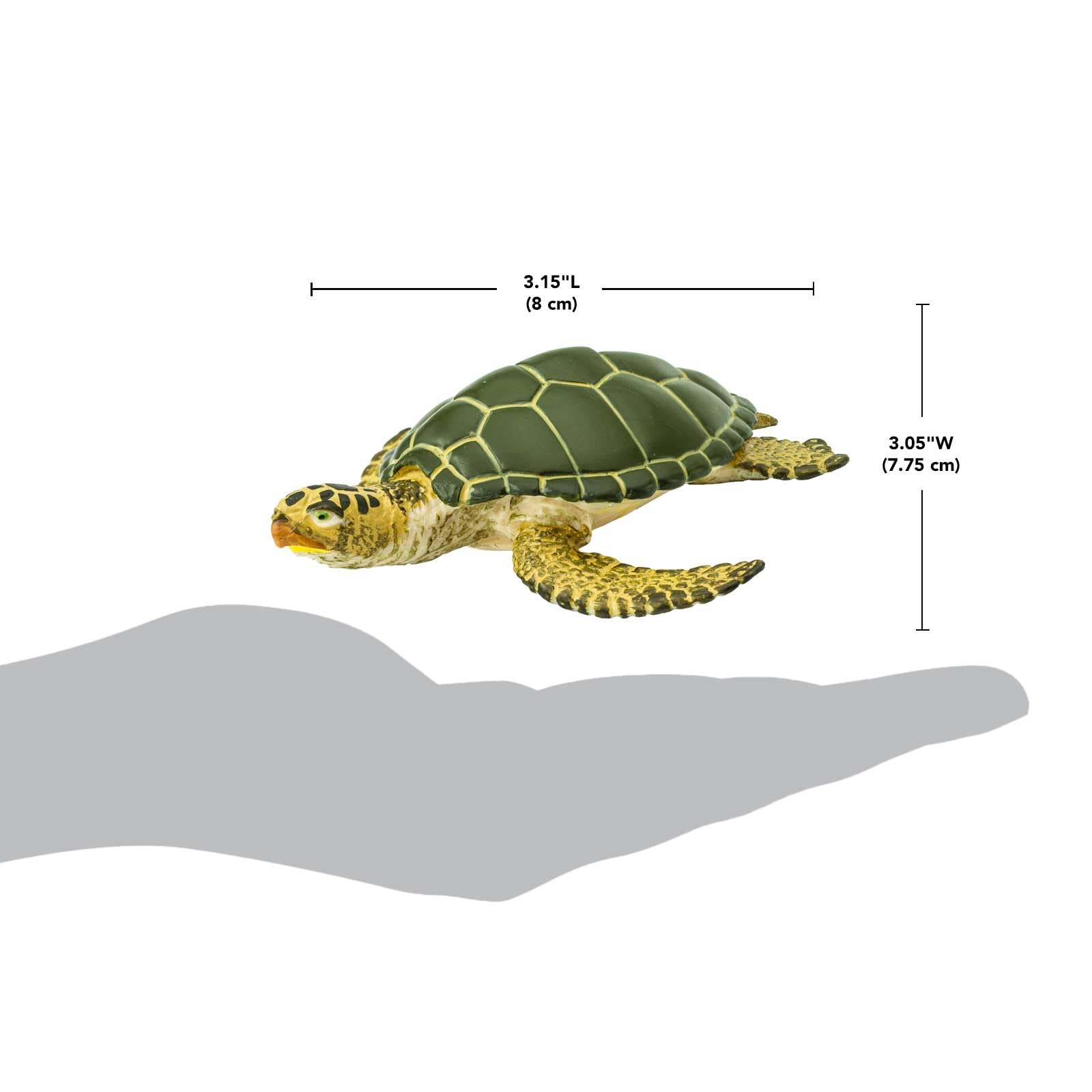 Safari Ltd. Green Sea Turtle Figurine - Detailed 3.58" Plastic Model Figure - Fun Educational Play Toy for Boys, Girls & Kids Ages 3+